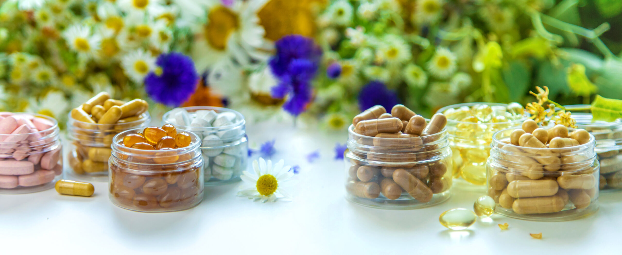 Ayurvedic Nutraceutical - CDMO 01