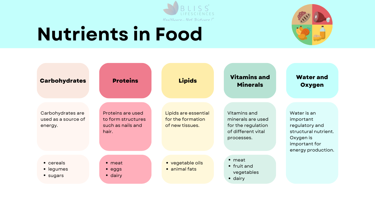 Why Micronutrient Vitamin & Mineral Custom Premixes are Key to Nutritional Success