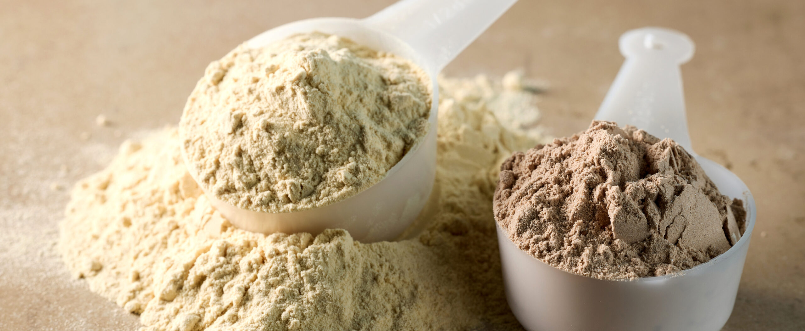 Protein Powder - WS_Banner 01
