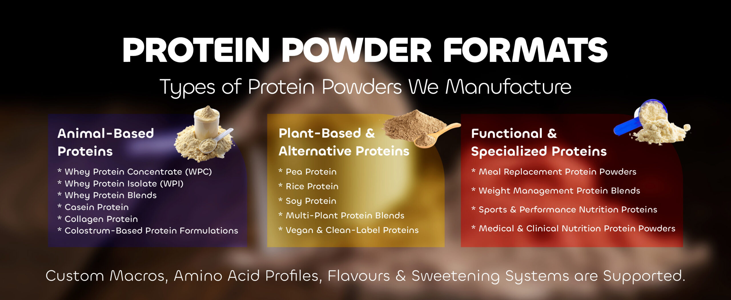 Protein Powder - WS_Banner 03
