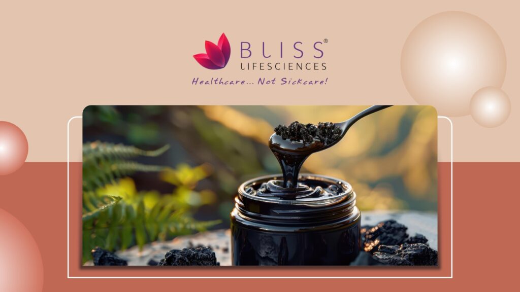 Shilajit Resin Manufacturers